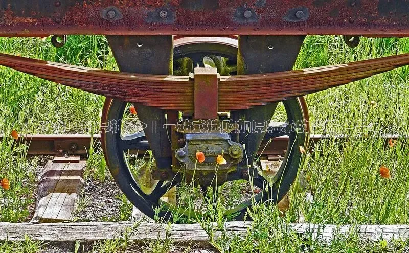 必发集团网站首页百度取证