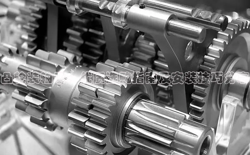 必发集团app下载安装手机版